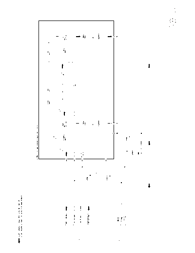 b_secam