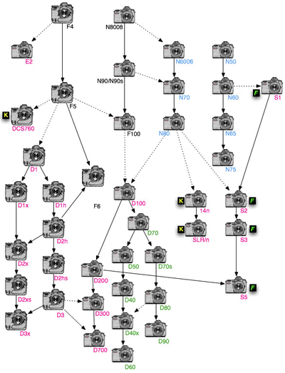 lineage