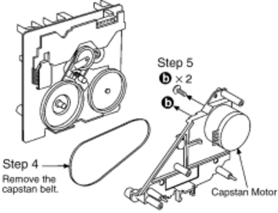 step31
