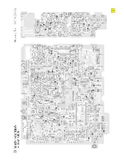 main section