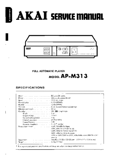 AP-M313