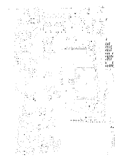 MB Principle