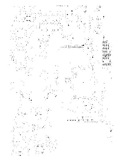 MB Principle