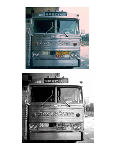 Bus
