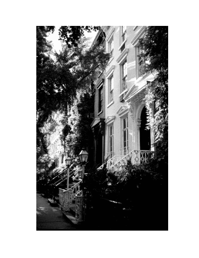 HAUS