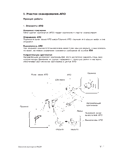 glava-5