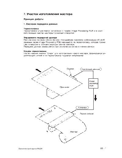 glava-7