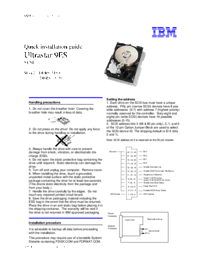 IBM Ultarstar 9ES - Quick Installation Guide