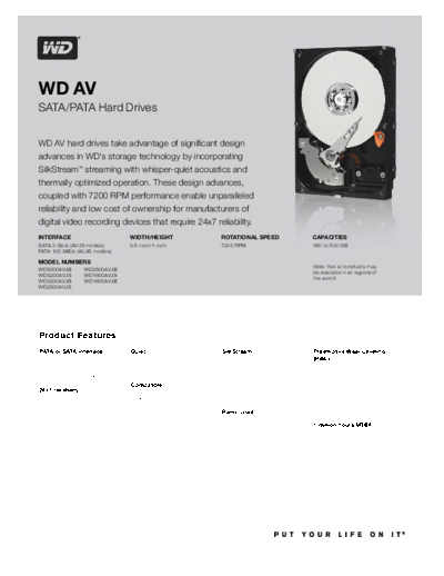 WD AV II