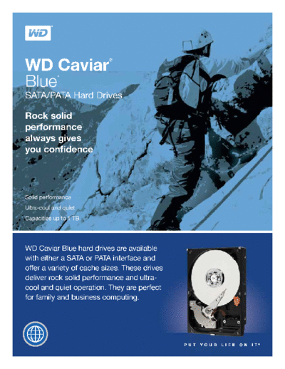 WD Caviar Blue IV